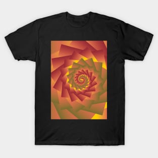 3d illusion Design T-Shirt